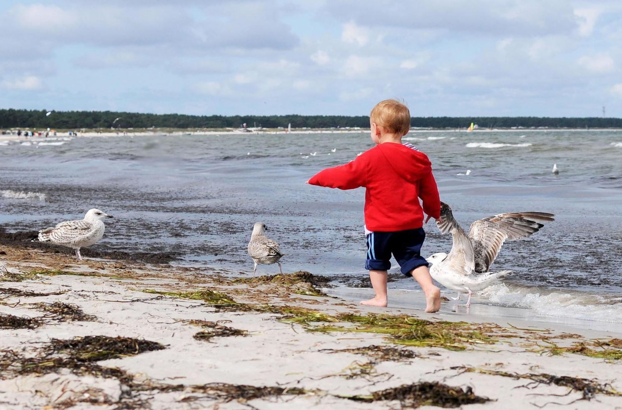 Ferienwohnung Kranichtanz Ostseeheilbad Ostseeheilbad Zingst Exterior foto